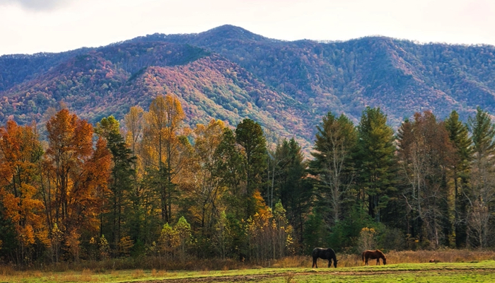 Scenery Northwest Carolina